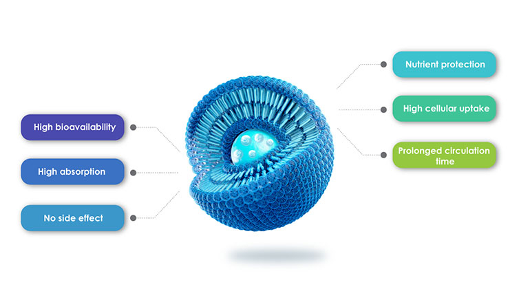 Avantages des produits liposomaux