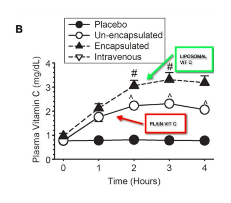 Biodisponibilité améliorée