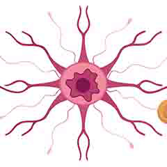 Santé du système nerveux