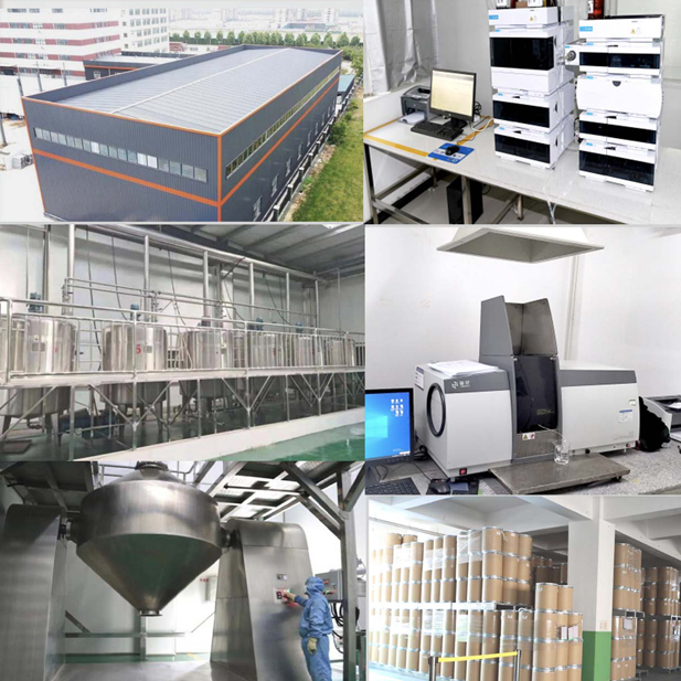 Profil de l'entreprise