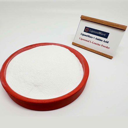 L-Leucine liposomale