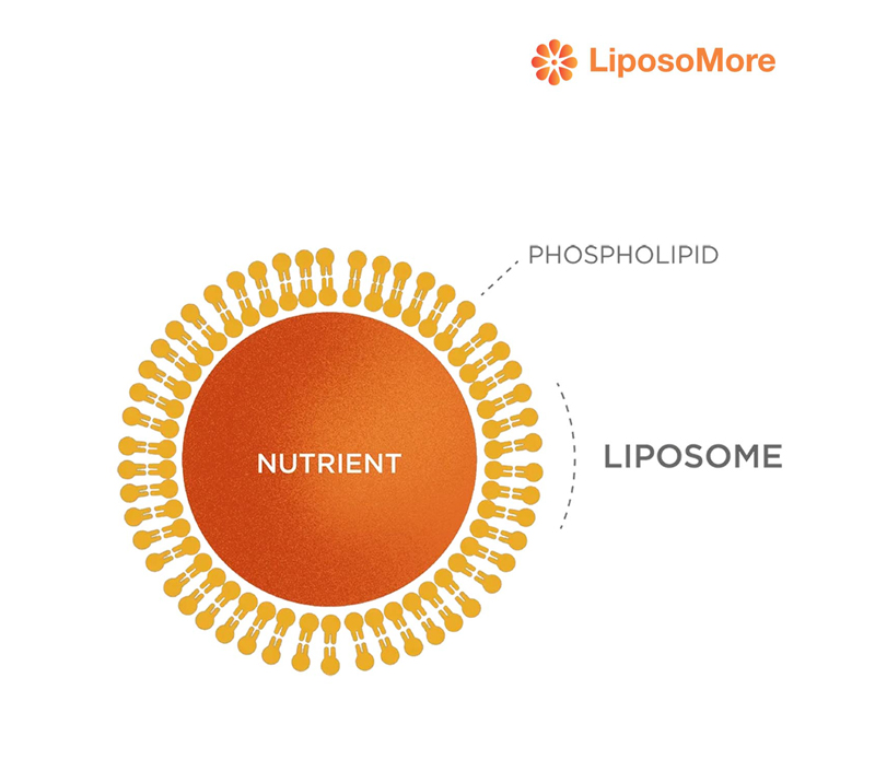 Stabilité accrue de l'ingrédient