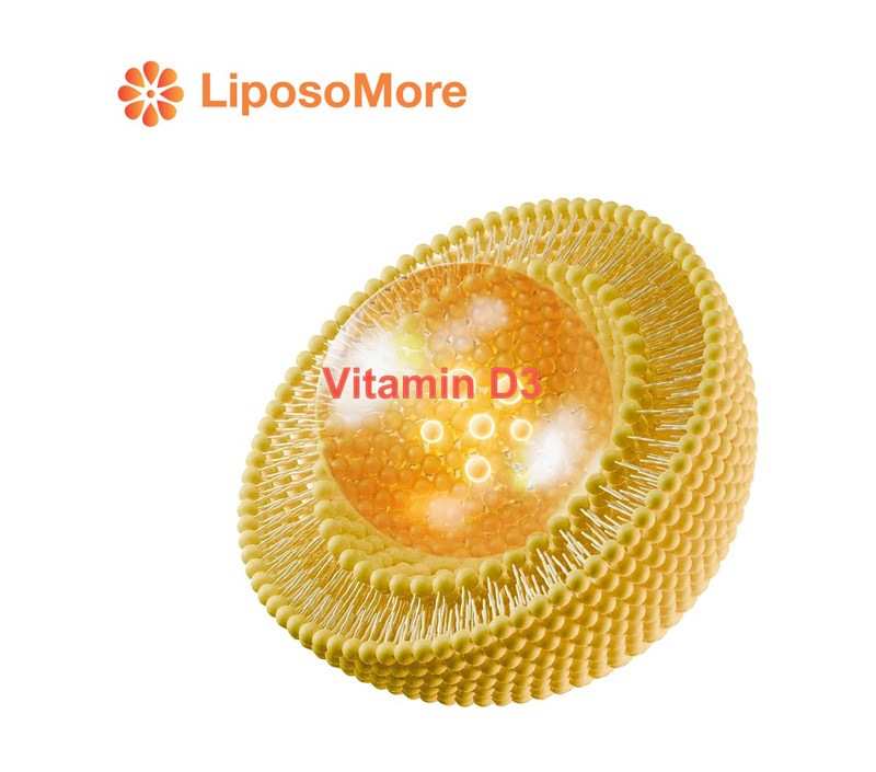 Vitamine D3 dans les liposomes