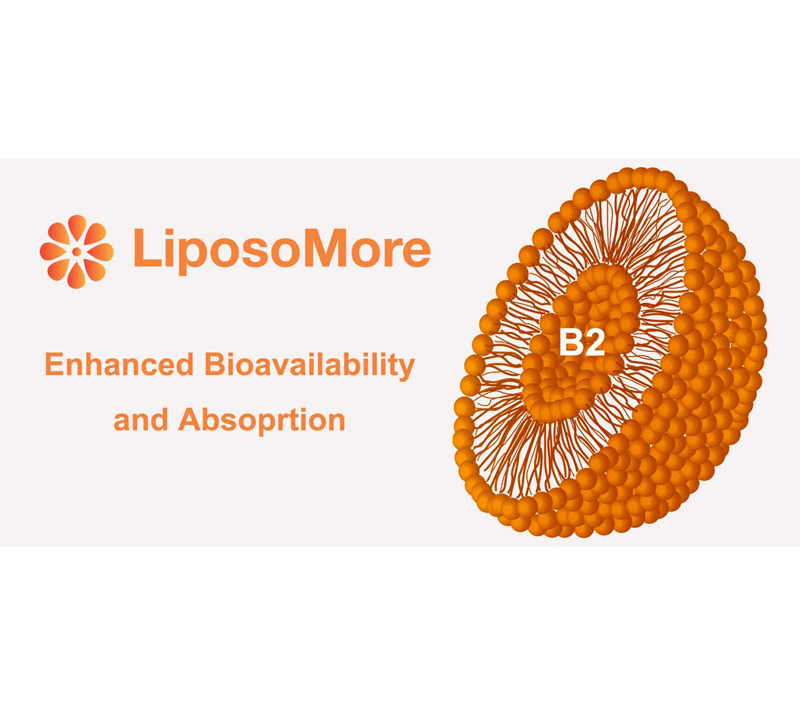 Biodisponibilité et absorption améliorées