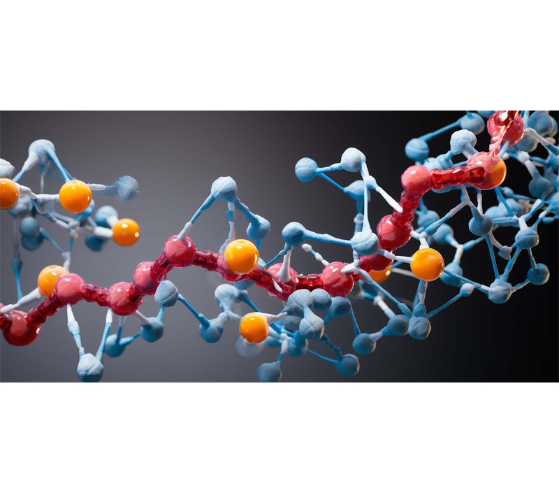 Améliore le métabolisme cellulaire