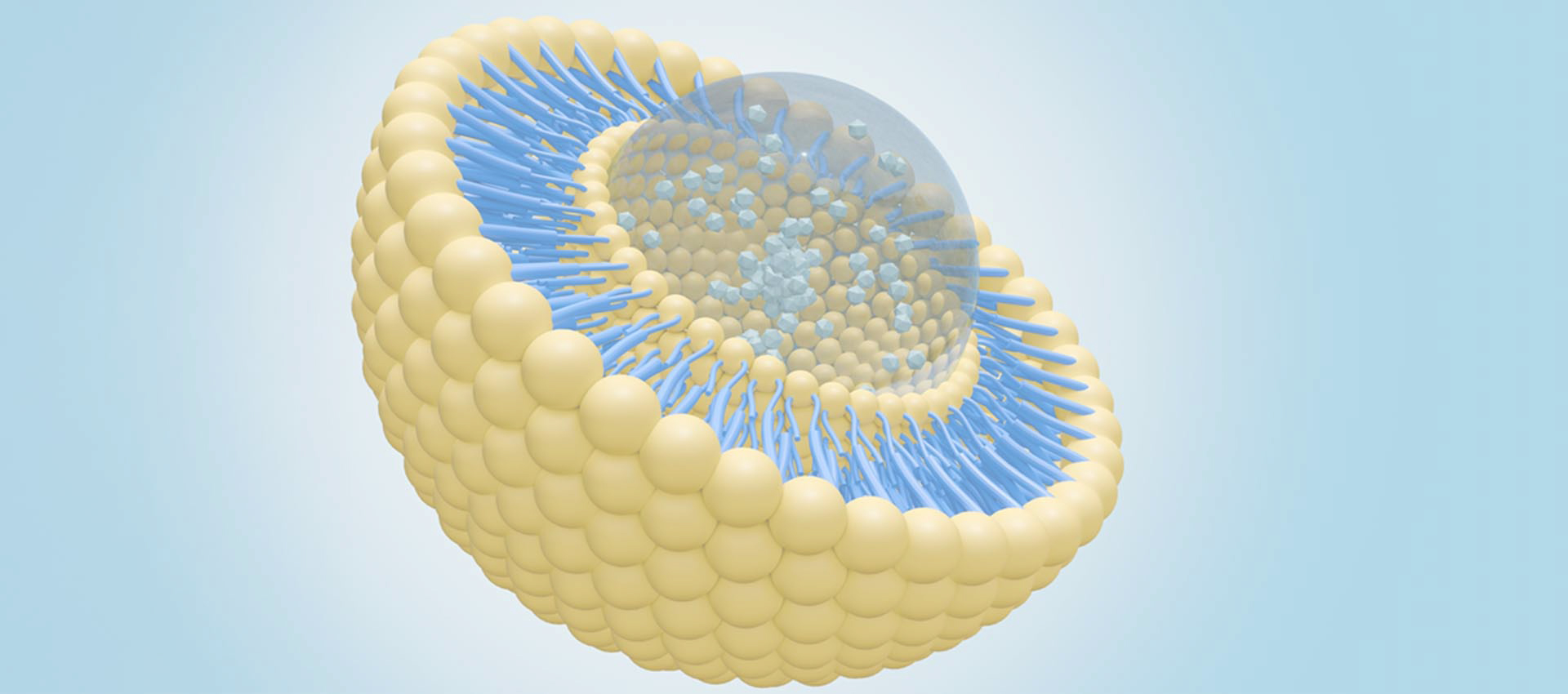 Acide alpha-lipoïque liposomal