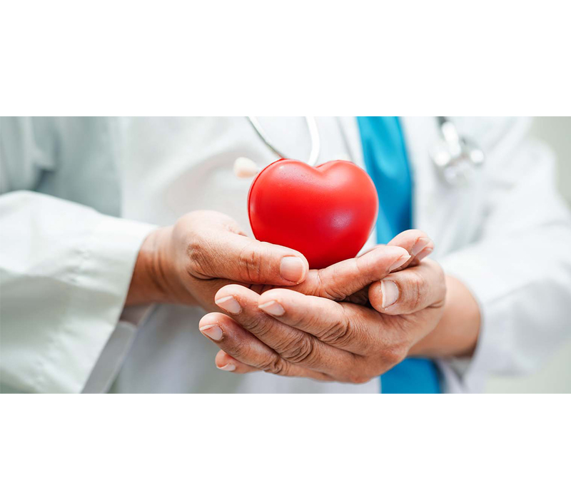 Soutient la santé cardiovasculaire