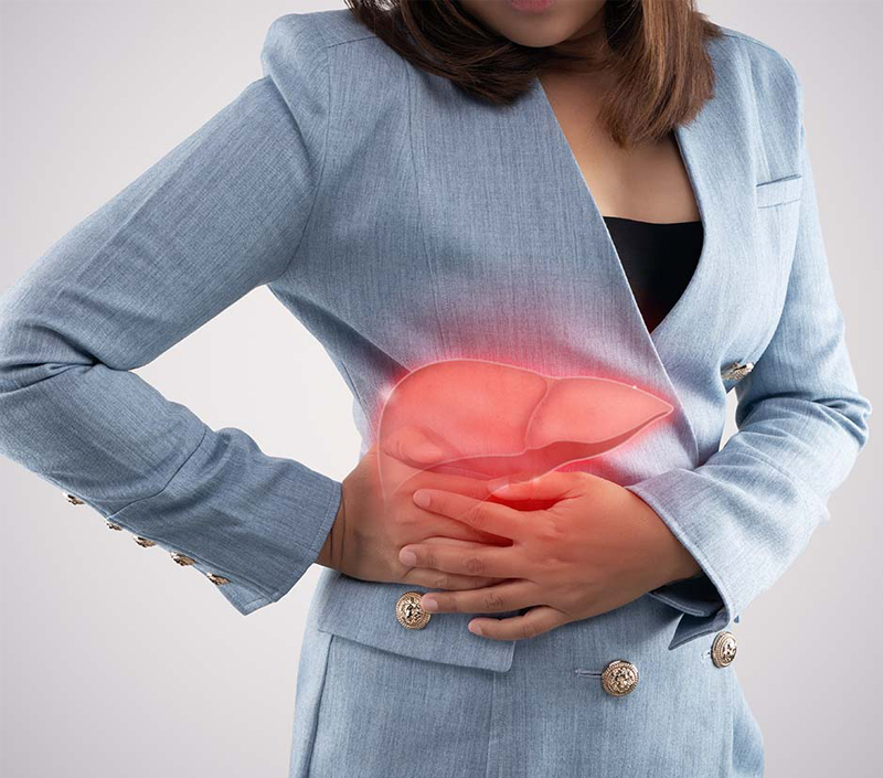 Santé du foie et soutien à la désintoxication