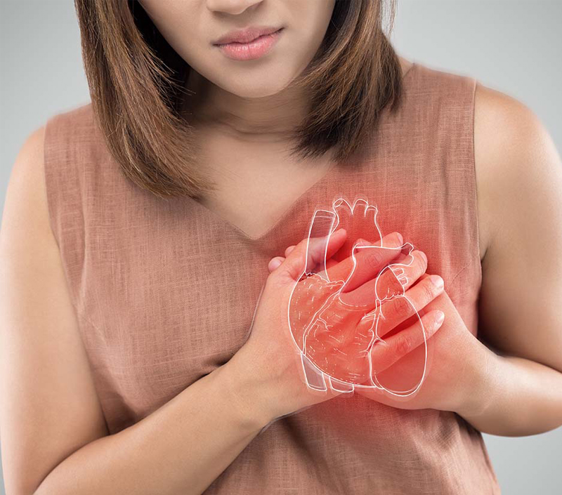 Protection cardiovasculaire et vasculaire