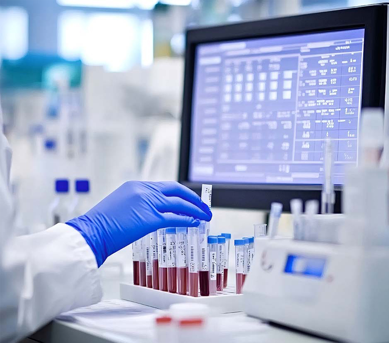 Biodisponibilité du fer dans la récupération de l'anémie