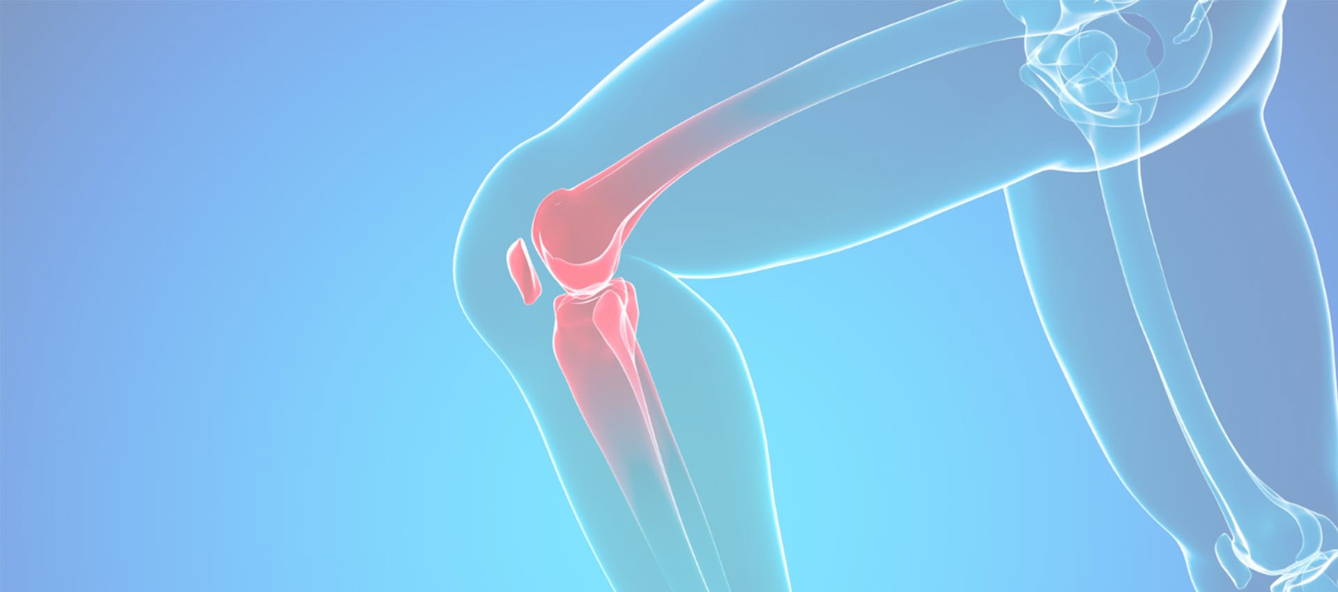 Collagène liposomal de type II