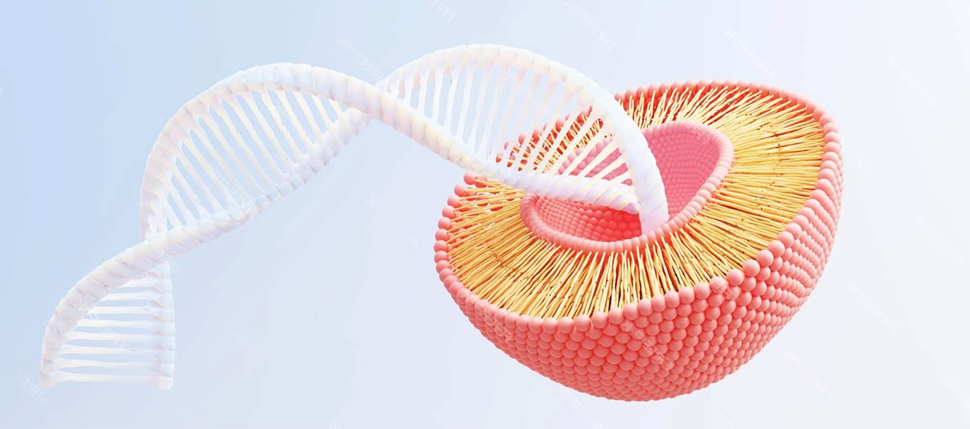 Pyrophosphate ferrique liposomal