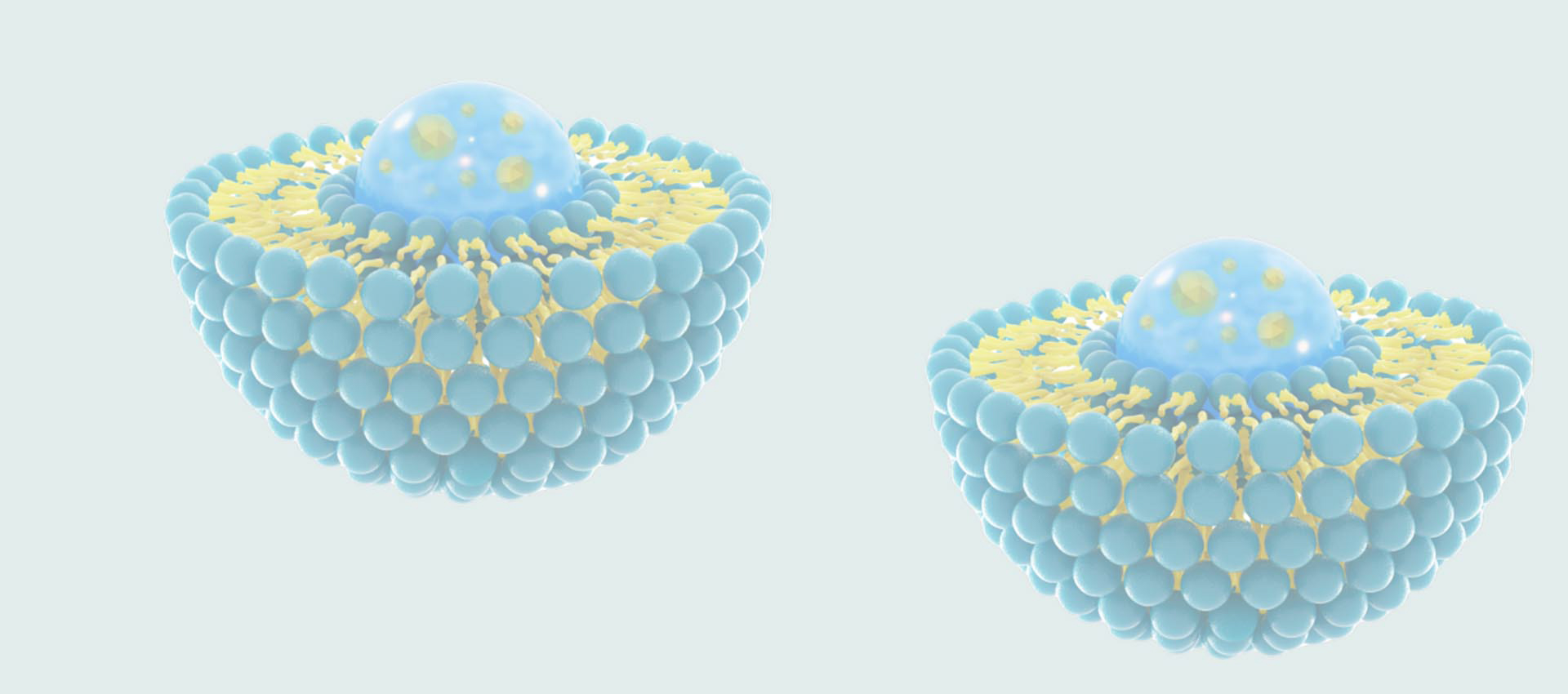 Glutathion liposomal