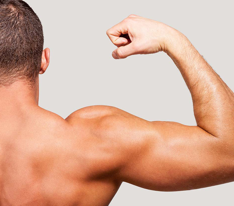 Soutient la fonction musculaire et la récupération physique