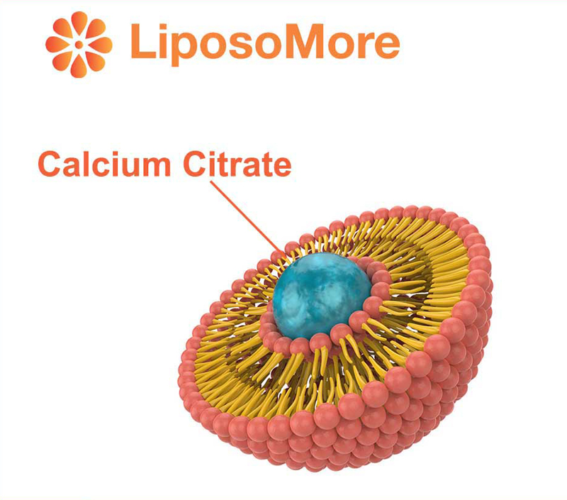 Biodisponibilité supérieure grâce à la livraison liposomique