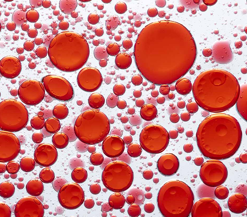 Soutient la formation des globules rouges et le transport de l'oxygène