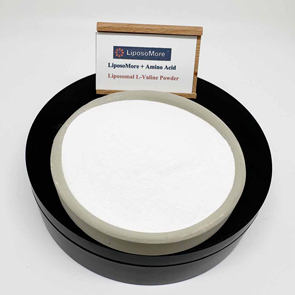 L-Valine liposomale