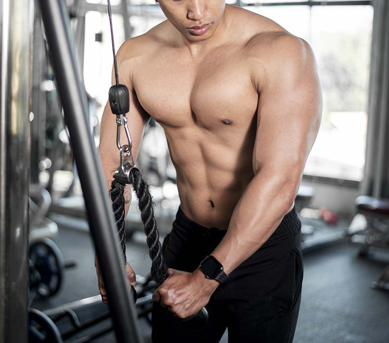 Soutient la croissance musculaire et la récupération