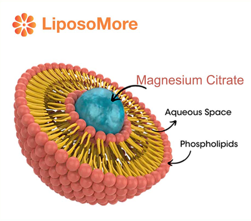 Minimise les effets secondaires gastro-intestinaux