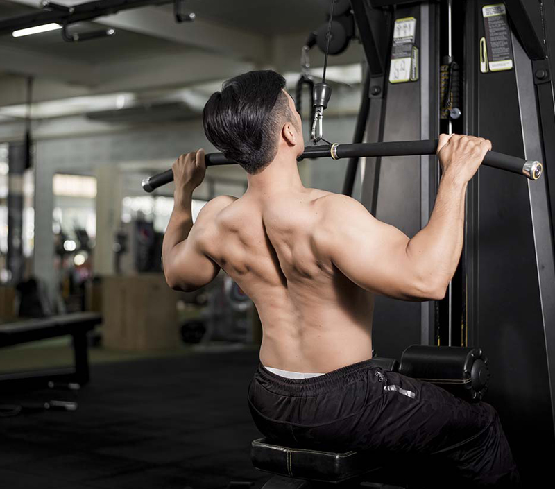 Prend en charge les fonctions cellulaires et musculaires