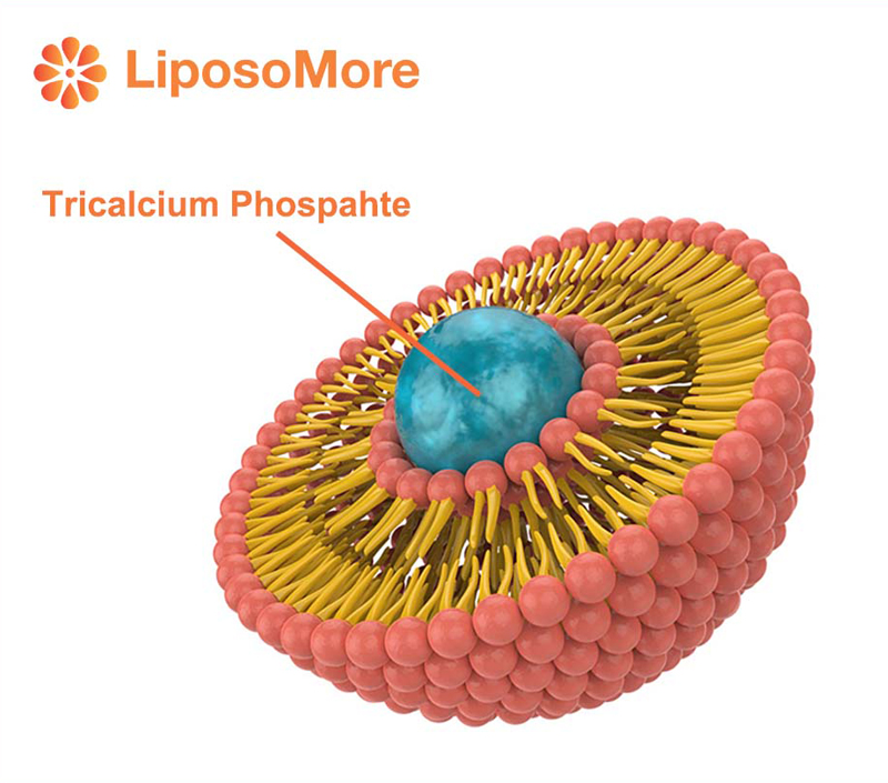 Absorption supérieure par l'encapsulation liposomale