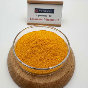 Vitamine Liposomale B2