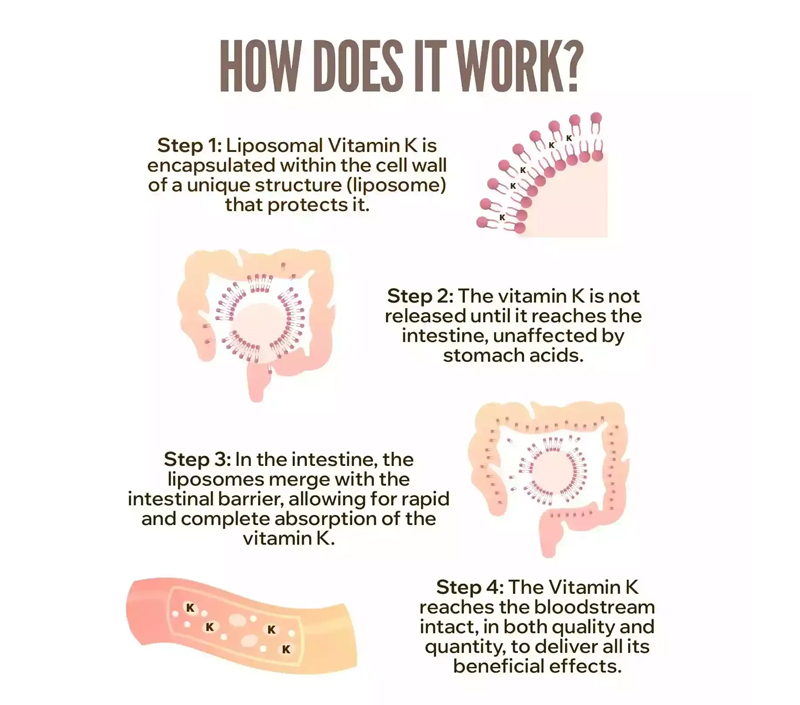 Biodisponibilité supérieure pour une meilleure absorption