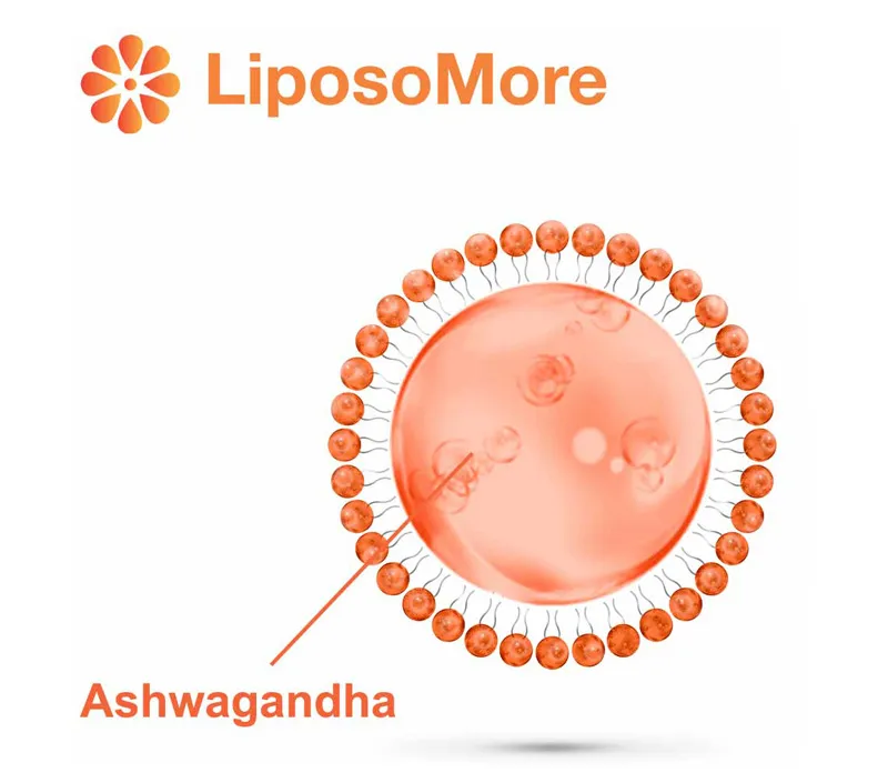 Amélioration de l'humeur et équilibre émotionnel