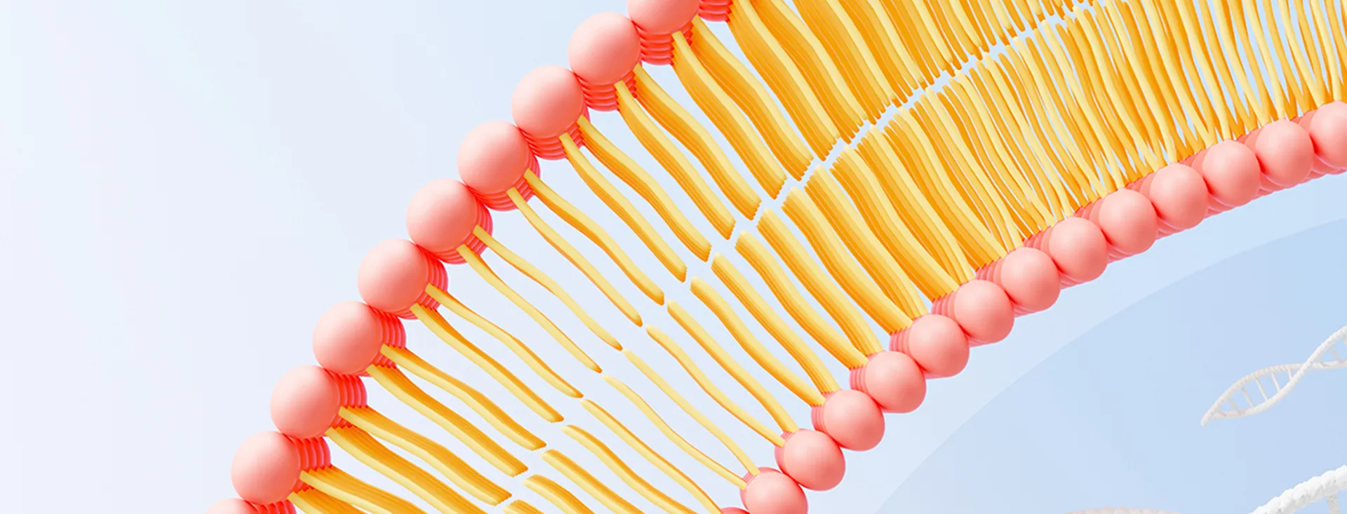 Fabricant d'ingrédients liposomaux