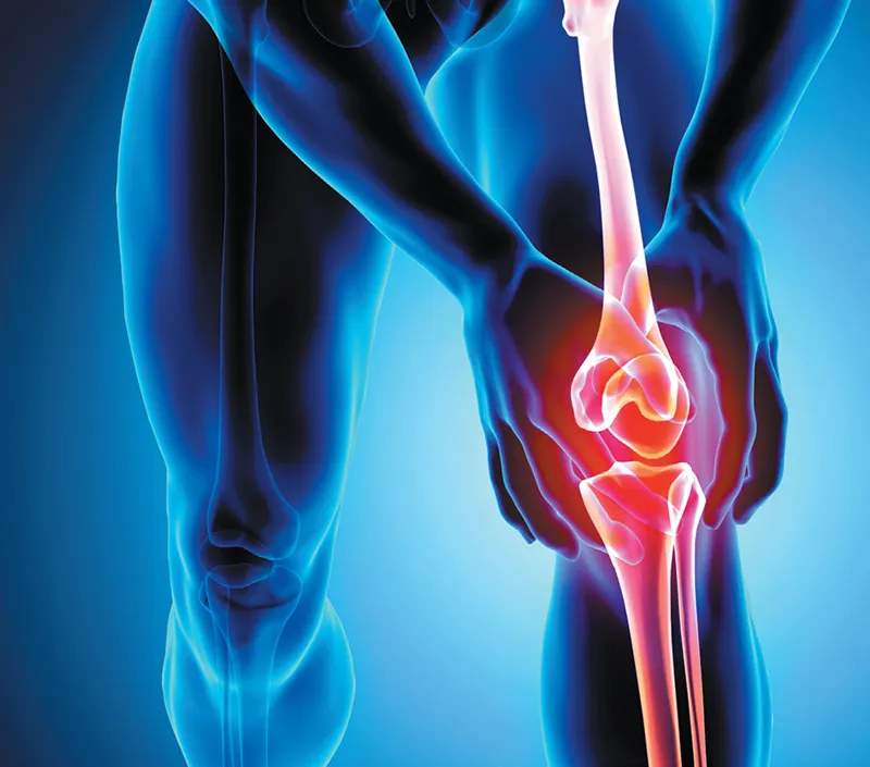 Comfort articulaire efficace et soutien de mobilité