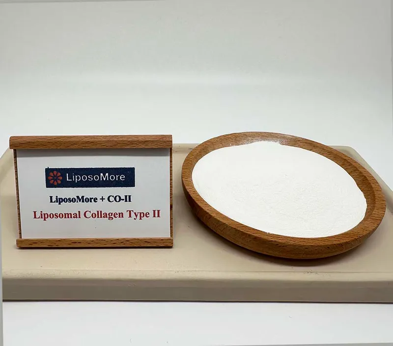 Soutien Cartilage Supérieur