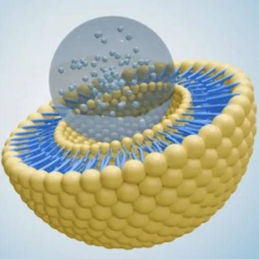 Microencapsulation vs technologie liposomale: quel est le meilleur pour les compléments alimentaires?